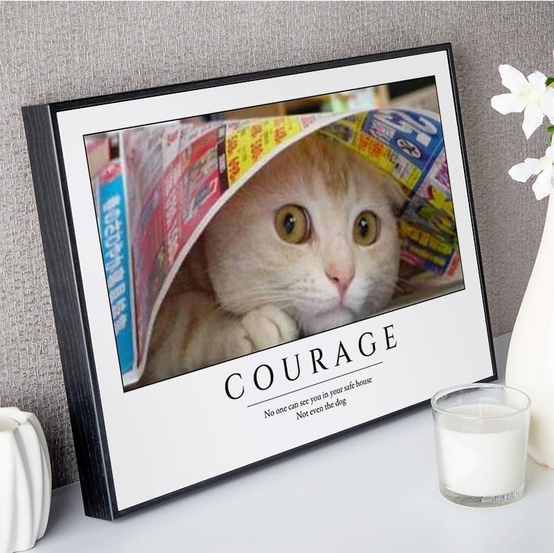custom demotivational picture box frame courage
