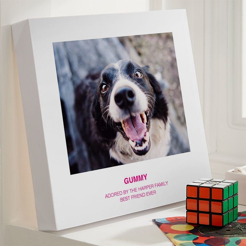 dog photo gift idea personalised canvas 