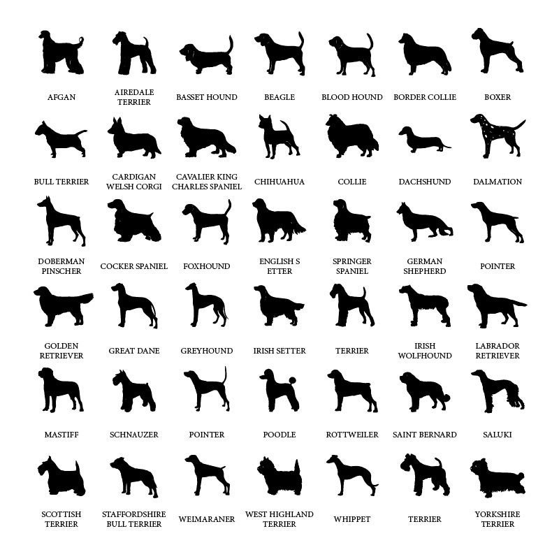 personalised dog name cushion list of dog breeds