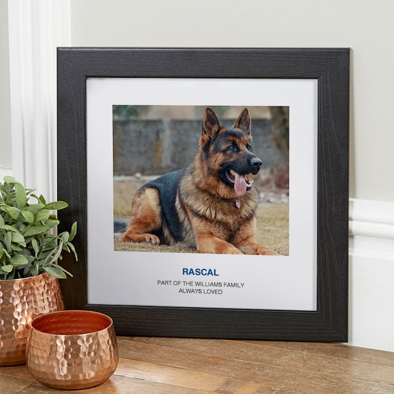 pet dog photo portrait framed wall art